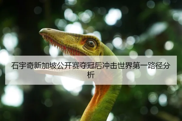 石宇奇新加坡公开赛夺冠后冲击世界第一路径分析